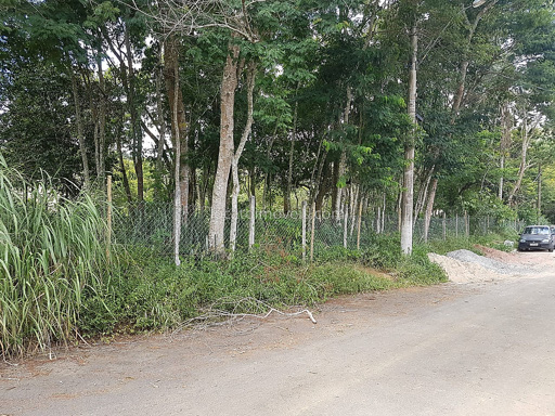 Foto cadastro cód. 2115