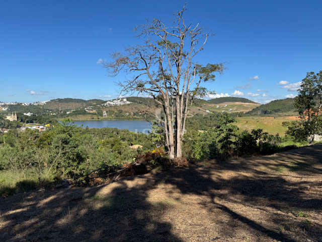 Foto cadastro cód. 5416