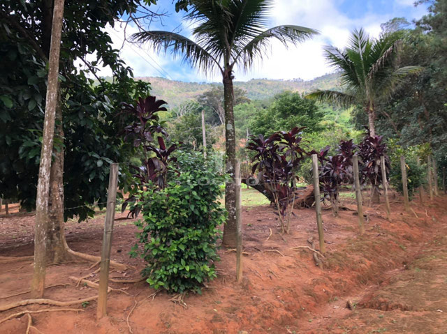 Foto cadastro cód. 5804