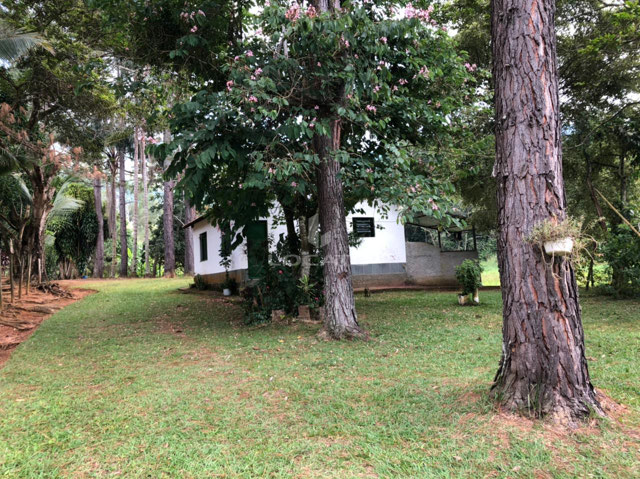 Foto cadastro cód. 5804