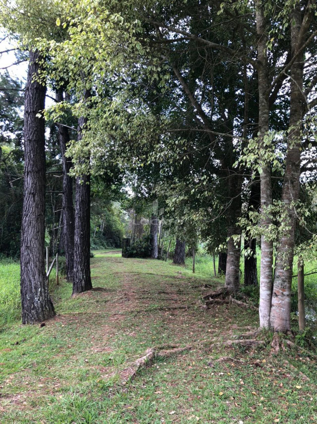 Foto cadastro cód. 5804