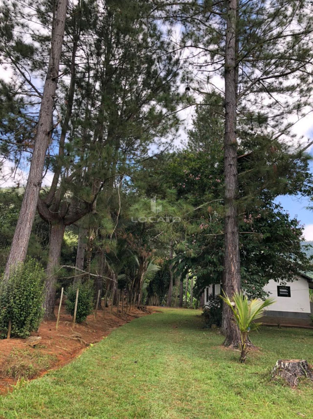 Foto cadastro cód. 5804