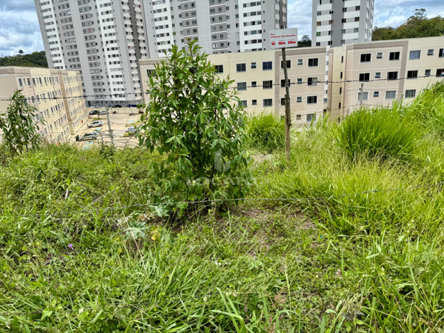 Foto cadastro cód. 5934