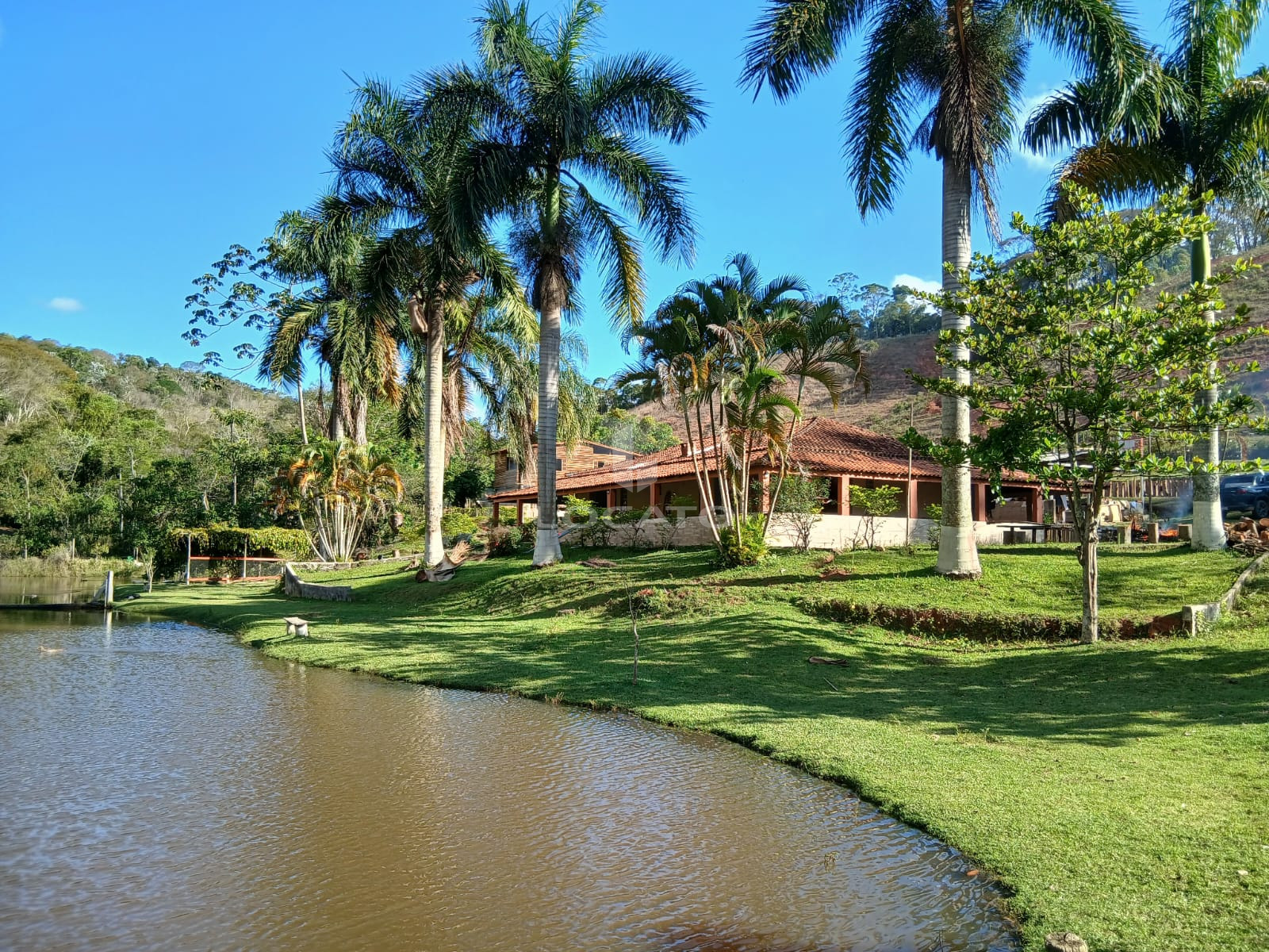 Foto cadastro cód. 5958