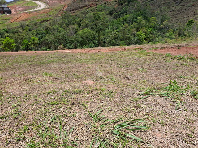 Foto cadastro cód. 5993