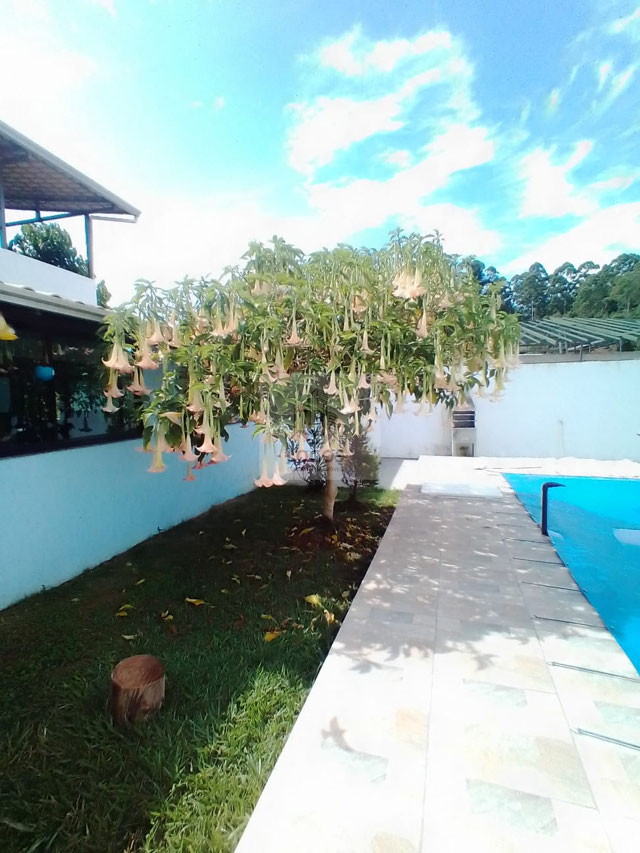 Foto cadastro cód. 286