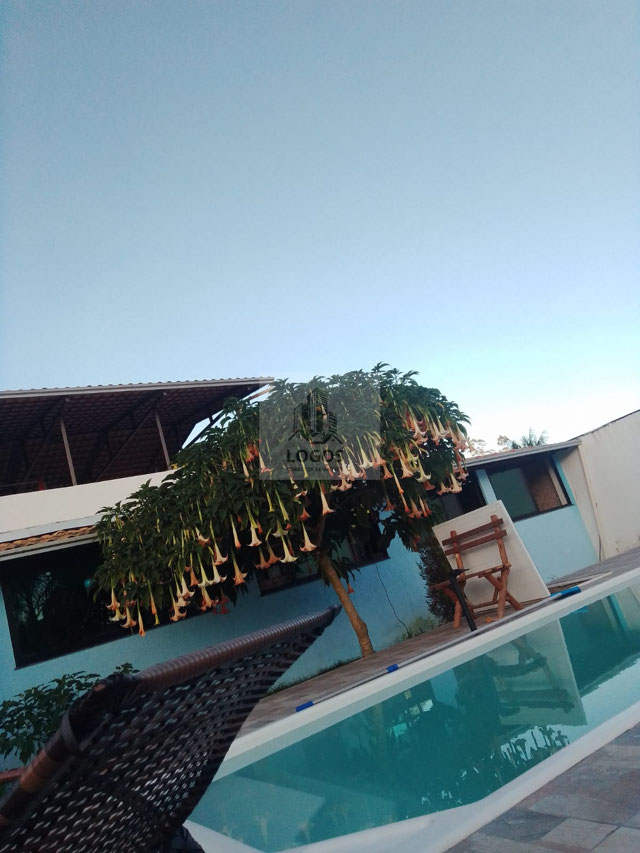 Foto cadastro cód. 286