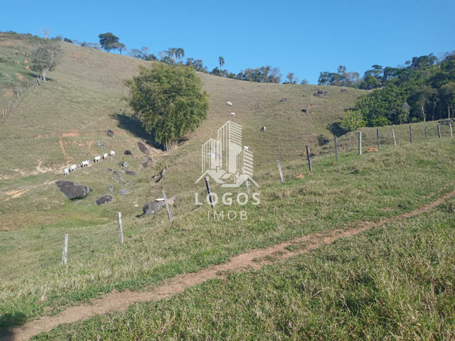 Foto cadastro cód. 3