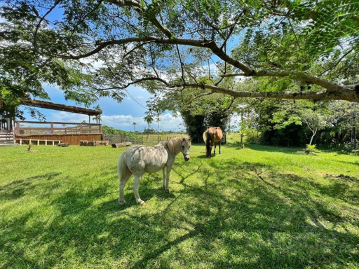 Foto cadastro cód. 2478
