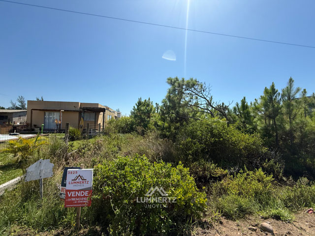 Foto cadastro cód. 3825