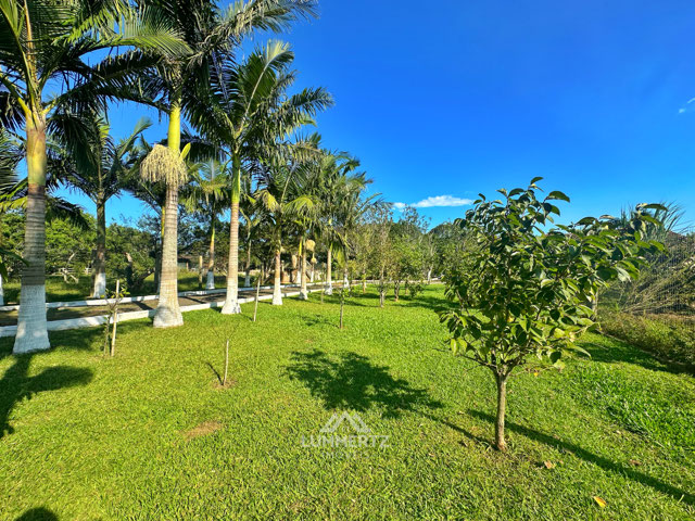 Foto cadastro cód. 3972