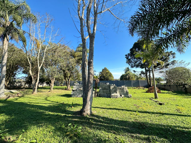 Foto cadastro cód. 201