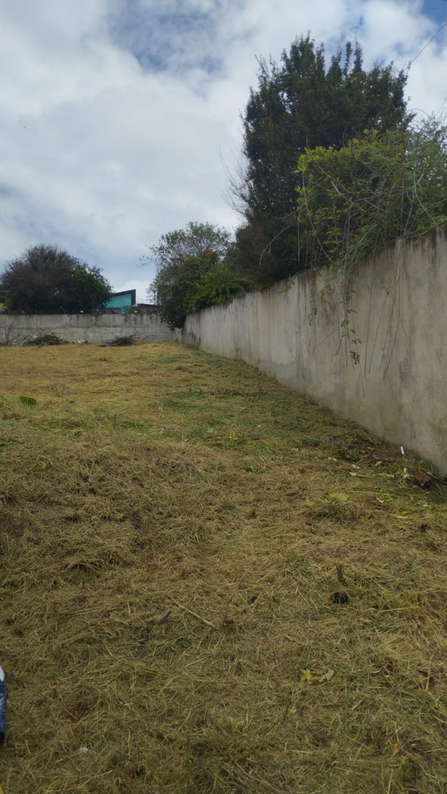 Foto cadastro cód. 309