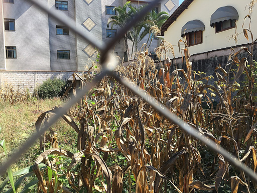 Foto cadastro cód. 10233