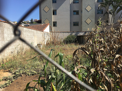 Foto cadastro cód. 10233