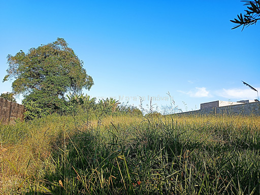 Foto cadastro cód. 12655