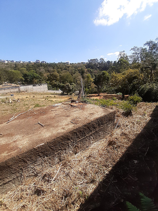 Foto cadastro cód. 12988