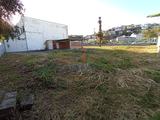 terreno