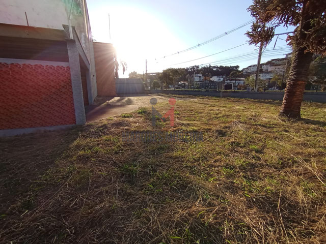 terreno