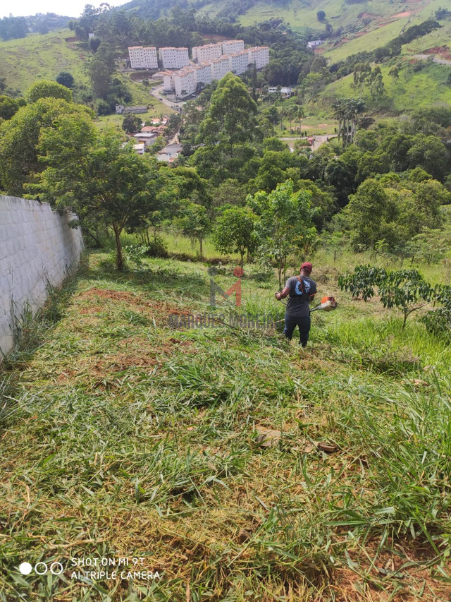Lote em condomínio em ascensão