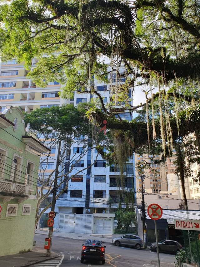 Foto cadastro cód. 13998