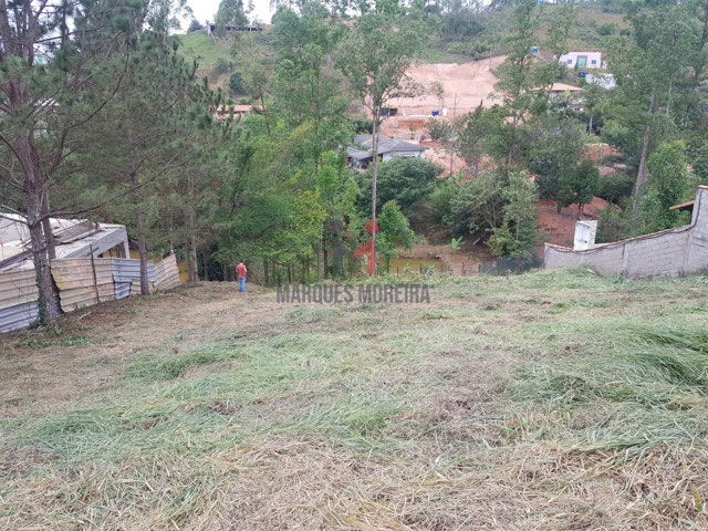 Foto cadastro cód. 14088