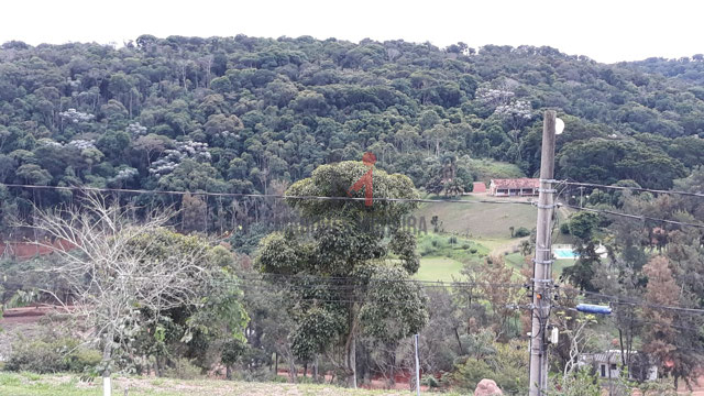 Foto cadastro cód. 14135