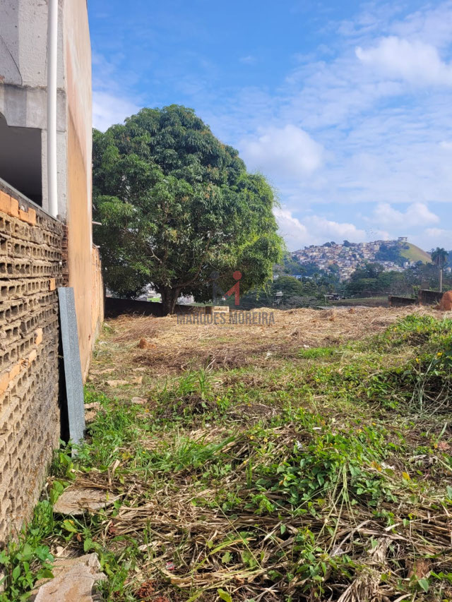 Lado esquerdo do terreno