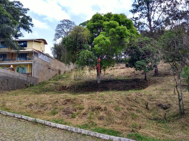 Foto cadastro cód. 14242