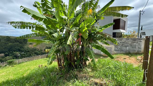 Foto cadastro cód. 14625