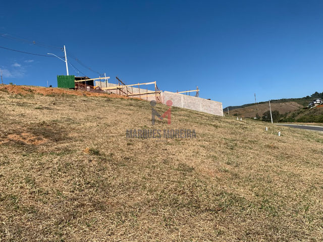 Vista por baixo