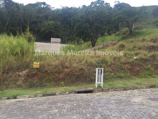 Oportunidade