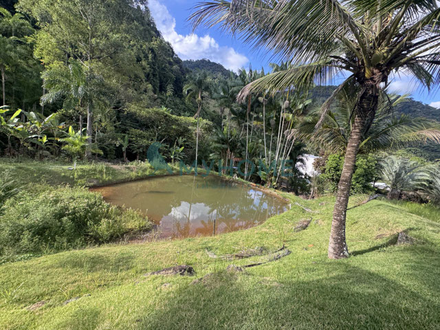 Foto cadastro cód. 436