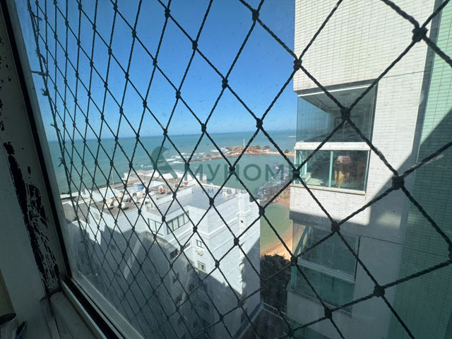 Vista
