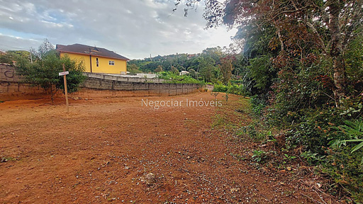 Lote, Novo Horizonte