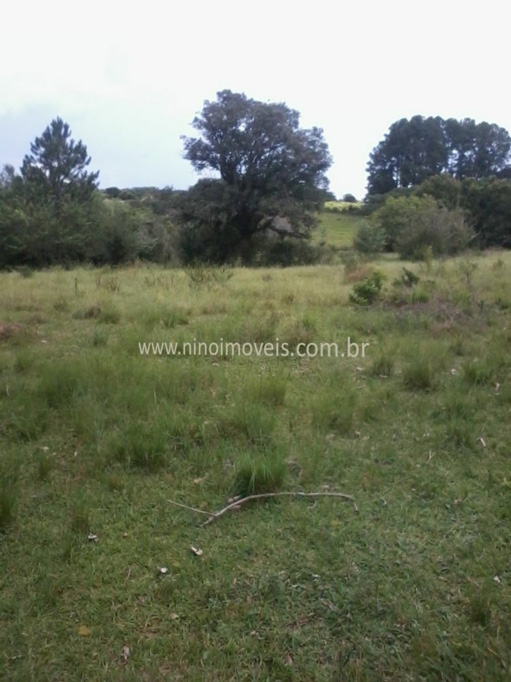 Foto cadastro cód. 14936