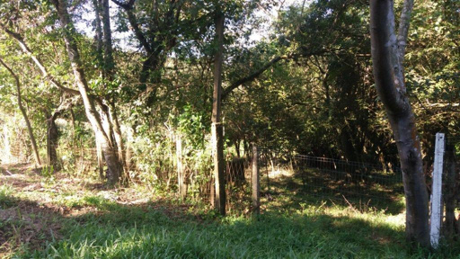 Foto cadastro cód. 33761