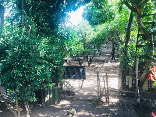 Foto cadastro cód. 35963