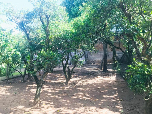 Foto cadastro cód. 35963