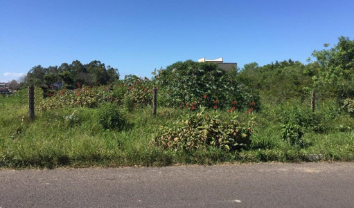 Foto cadastro cód. 37647