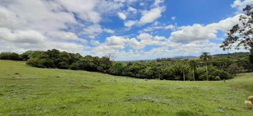 Foto cadastro cód. 40409