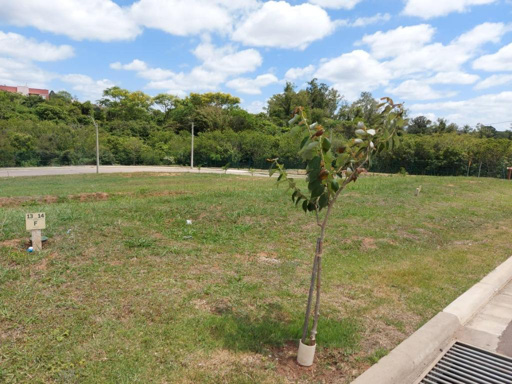 Foto cadastro cód. 40621