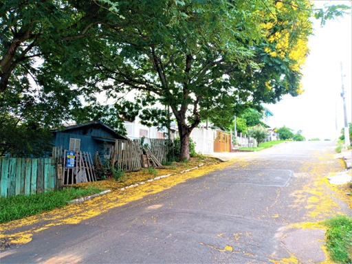 Foto cadastro cód. 41033