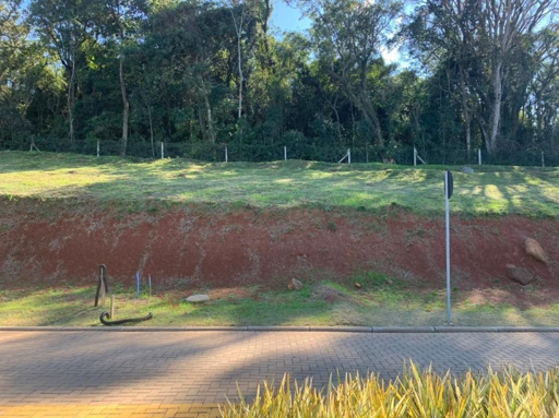 Foto cadastro cód. 41419