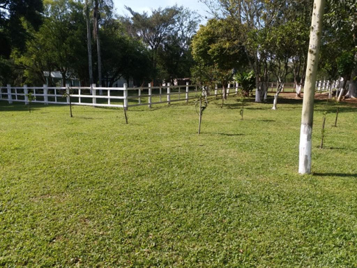 Foto cadastro cód. 44017