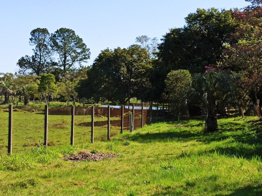 Foto cadastro cód. 45944