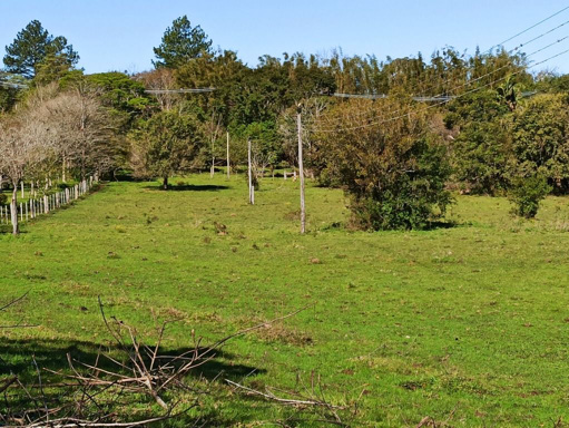 Foto cadastro cód. 45944