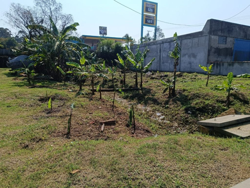 Foto cadastro cód. 45992