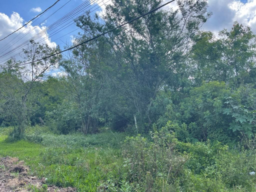 Foto cadastro cód. 46114