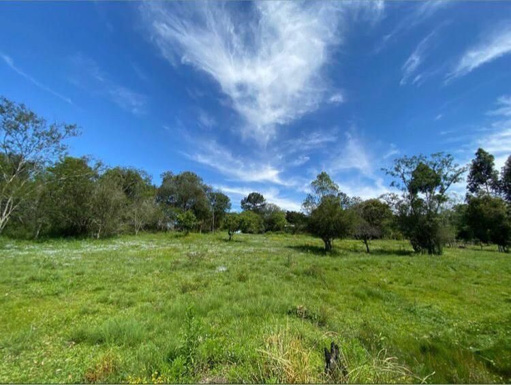 Foto cadastro cód. 46128